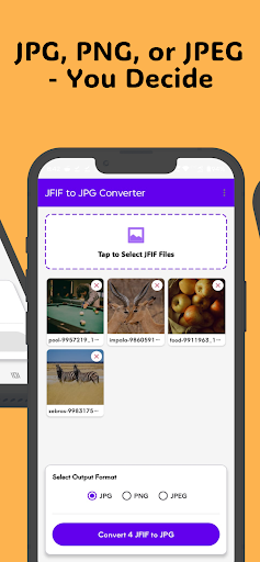 JFIF to JPG Converter ekran görüntüsü