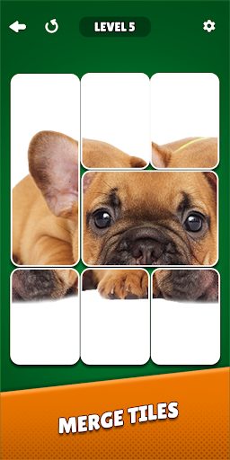 Solitaire Puzzle: Jigsaw Card ekran görüntüsü