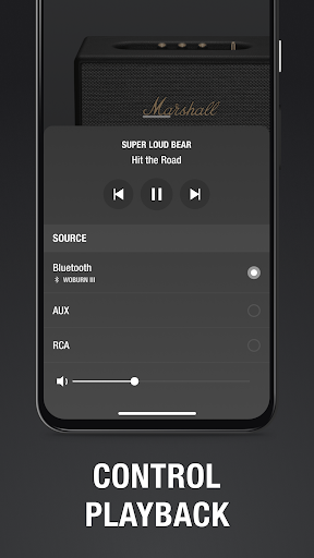 Marshall Bluetooth ekran görüntüsü