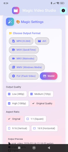 Video Converter ekran görüntüsü