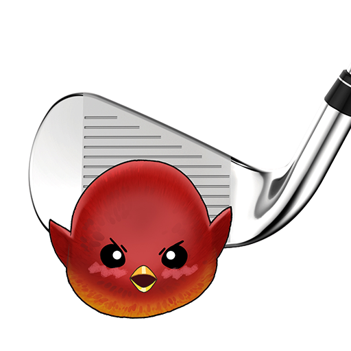 Crazy Birdie