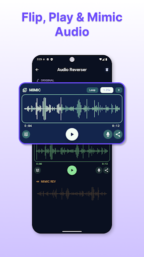 Echo: Audio Reverser ekran görüntüsü