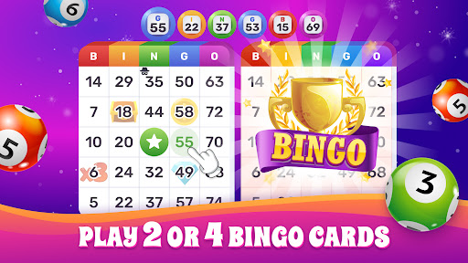 Bingo Lotto: Win Lucky Number ekran görüntüsü