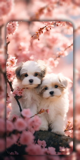Dog Wallpaper & Cute Puppy 4K ekran görüntüsü