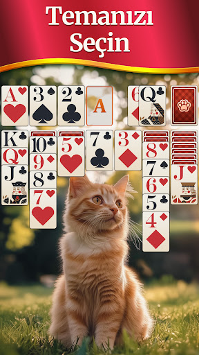 Solitaire - Kart Oyunları ekran görüntüsü