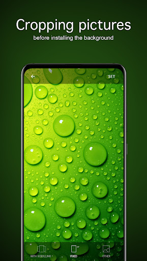 Green Wallpapers 4K ekran görüntüsü