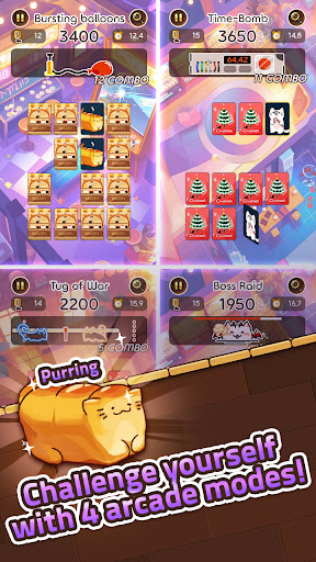 CAT MEMORY ekran görüntüsü