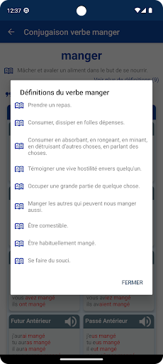 Conjugaison Verbes Français ekran görüntüsü