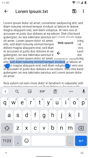 Select Text to Search ekran görüntüsü