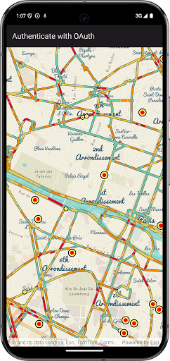 ArcGIS Maps SDK Sample Viewer ekran görüntüsü