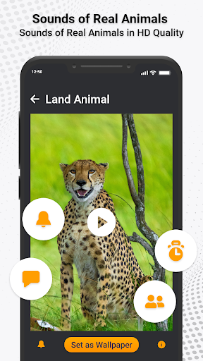 Animal Ringtones & Sounds ekran görüntüsü