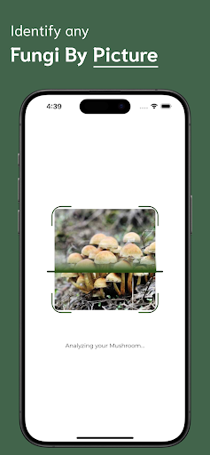Mushroom Identifier ekran görüntüsü