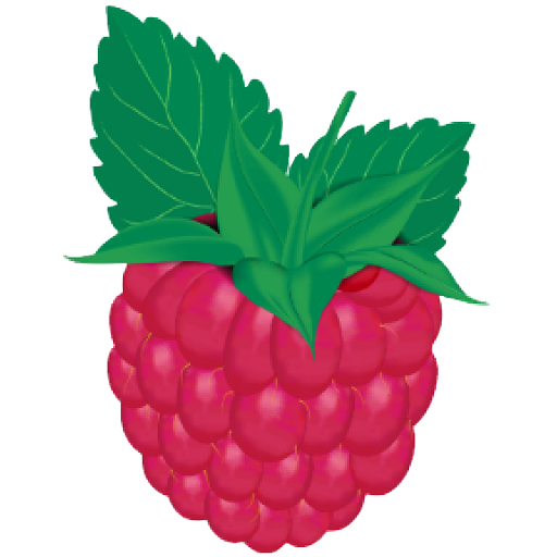 Raspberry ERP General App