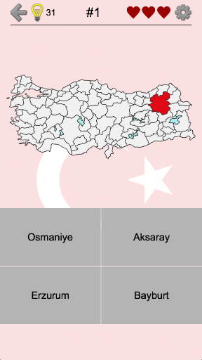 Türkiye'nin İlleri oyunu ekran görüntüsü