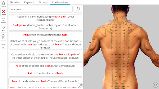 Visual Acupuncture 3D ekran görüntüsü