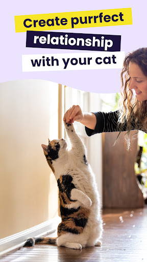 Meowz: Cat Training & Pet care ekran görüntüsü