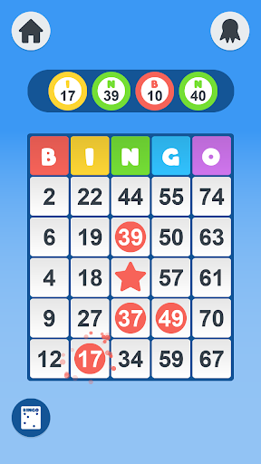 Daily Bingo ekran görüntüsü