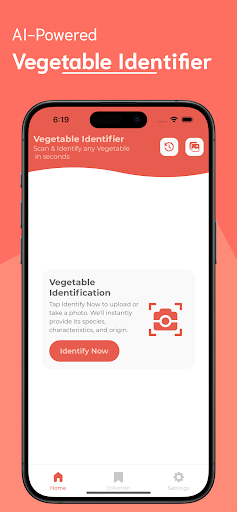 Vegetable Identifier ekran görüntüsü