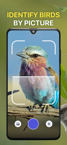 Bird Sound Identifier Bird ID ekran görüntüsü