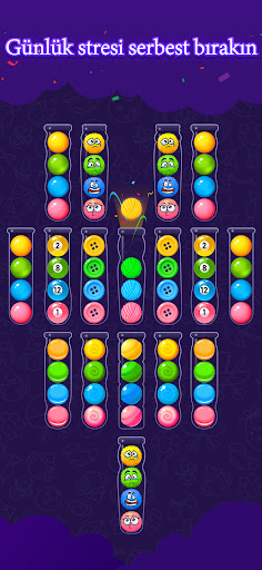 Ball Sort Puzzle: Renk Ustası ekran görüntüsü
