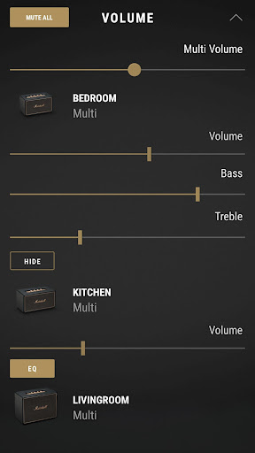 Marshall Multi-Room ekran görüntüsü