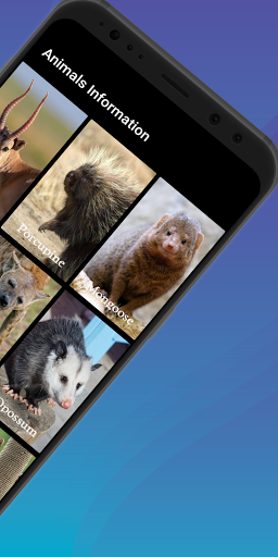 Animals  Information ekran görüntüsü