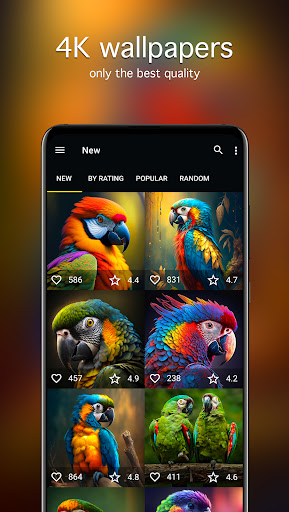 Parrot Wallpapers 4K ekran görüntüsü