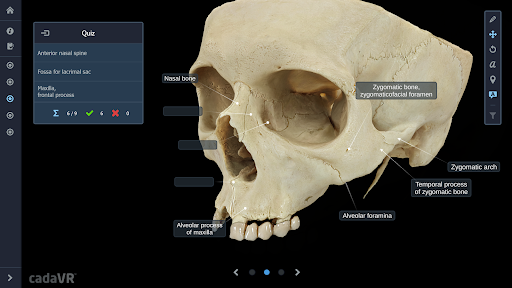 cadaVR anatomy ekran görüntüsü