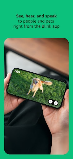 Blink Home Monitor ekran görüntüsü