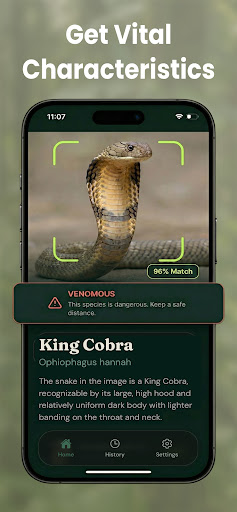 Reptile Identifier: Snake AI ekran görüntüsü