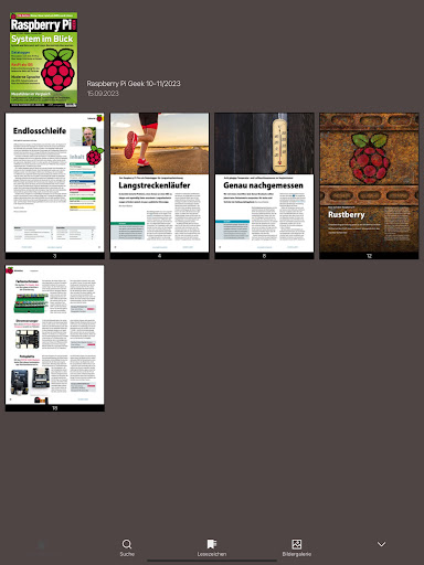 Raspberry Pi Geek ekran görüntüsü