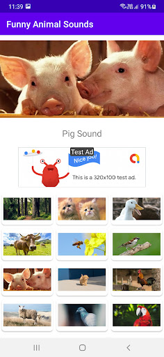 Funny Animal Sounds ekran görüntüsü