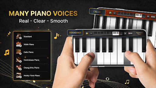 Piano voices & MIDI controller ekran görüntüsü