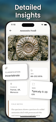 Fossil Identifier: Bone ID ekran görüntüsü