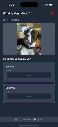 What Is Your Mood 2 ekran görüntüsü