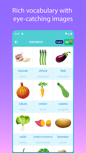 Learn Czech - Speak Czech ekran görüntüsü