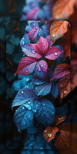 4K Wallpaper & HD Backgrounds ekran görüntüsü