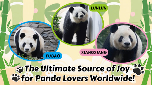 PandaJoy: Panda Lovers' Hub ekran görüntüsü