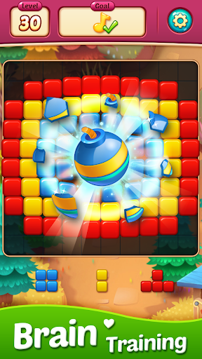 BlocKing Puzzle ekran görüntüsü