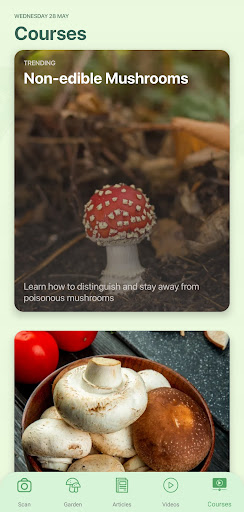 Mushroom Identifier by Picture ekran görüntüsü