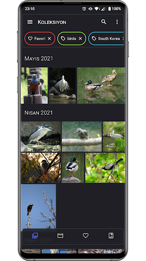 Aves Galeri ekran görüntüsü