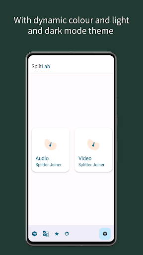 SplitLab Audio Video Splitter ekran görüntüsü