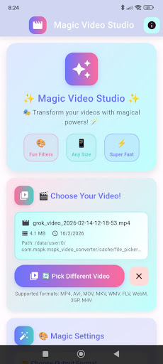 Video Converter ekran görüntüsü
