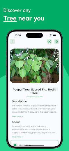 Tree Identifier ekran görüntüsü