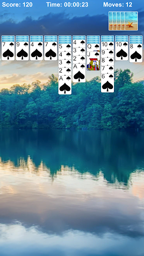 Spider Solitaire Pro+ ekran görüntüsü