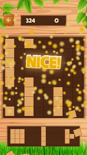 Daily Wood Block Puzzle ekran görüntüsü