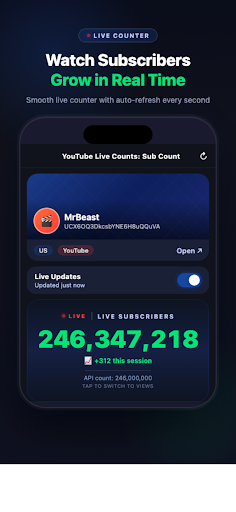 YouTube Live Sub Counter ekran görüntüsü