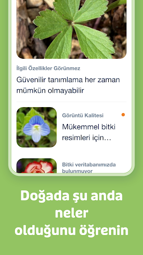 Flora Incognita ekran görüntüsü
