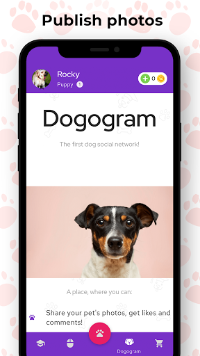 eTrainDog: Dog Trainer ekran görüntüsü