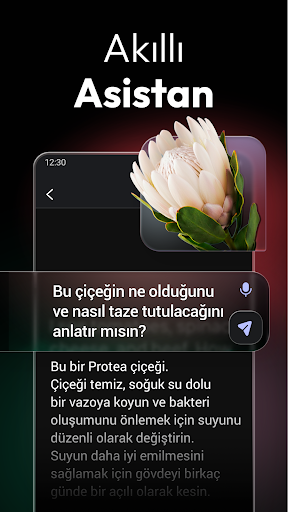 ChatOn - Türkçe Yapay Zeka ekran görüntüsü